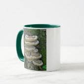 Shelf Fungi op Stump Mok (Voorkant links)
