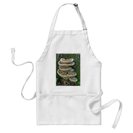 Shelf Fungi op Stump Standaard Schort (Voorkant)