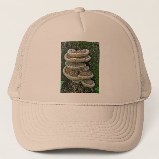 Shelf Fungi op Stump Trucker Pet (Voorkant)