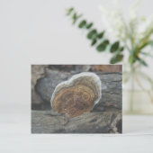 Shelf Fungus #3 Briefkaart (Staand voorkant)