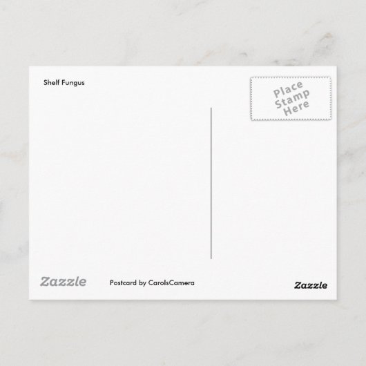 Shelf Fungus op Stump Briefkaart (Achterkant)