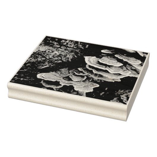 Shelf Fungus Rubber Stamp Rubberstempel (Stempel)