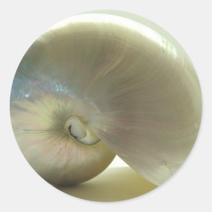 Shell #1 ronde sticker