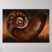 Shell Art Print (Voorkant)