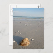 Shell Beach Briefkaart (Voorkant / Achterkant)