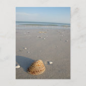Shell Beach Briefkaart (Voorkant)