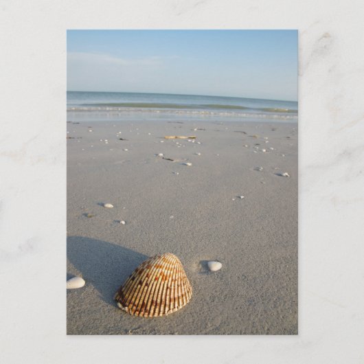 Shell Beach Briefkaart (Voorkant)