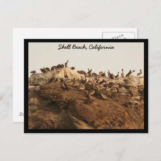 Shell Beach, Californië Briefkaart (Voorkant / Achterkant)