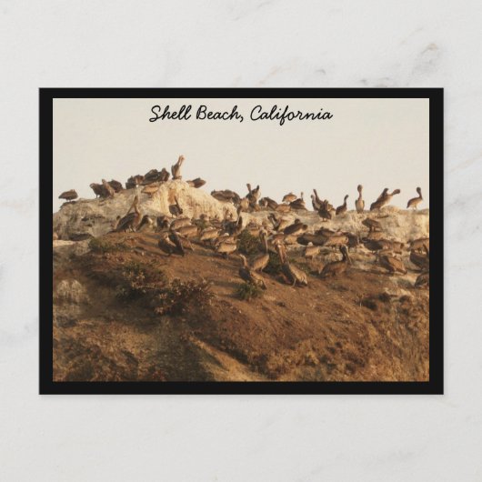 Shell Beach, Californië Briefkaart (Voorkant)