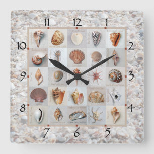 Shell Beach Clock Vierkante Klok