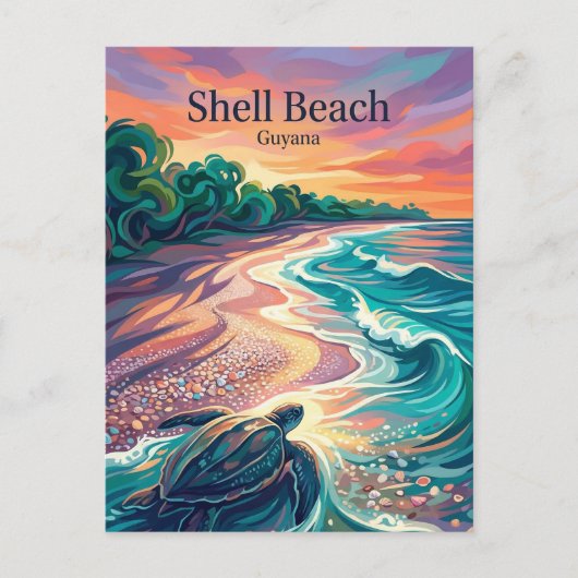 Shell Beach Guyana Briefkaart (Voorkant)