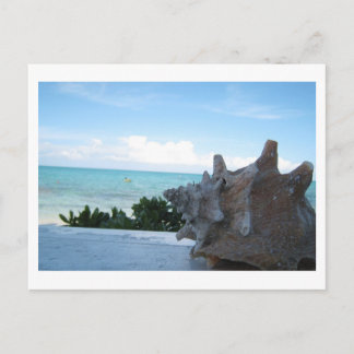 Shell bij de oceaan briefkaart