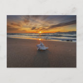 Shell bij het strand op zonsondergang | eiland Kos Briefkaart (Voorkant)