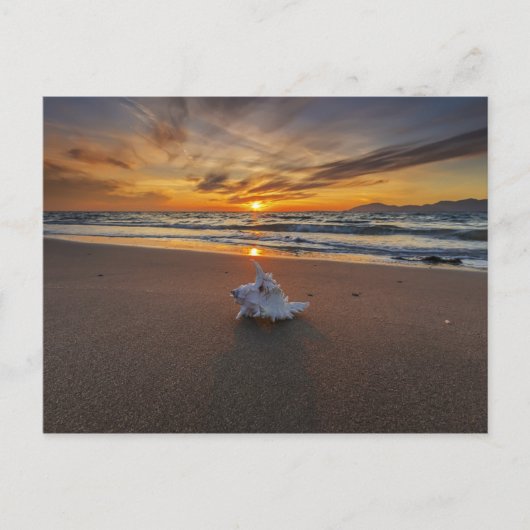 Shell bij het strand op zonsondergang | eiland Kos Briefkaart (Voorkant)