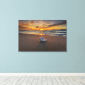 Shell bij het strand op zonsondergang | eiland Kos Canvas Afdruk (Insitu (Houten vloer))