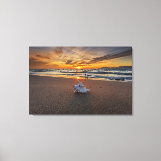 Shell bij het strand op zonsondergang | eiland Kos Canvas Afdruk (Voorkant)