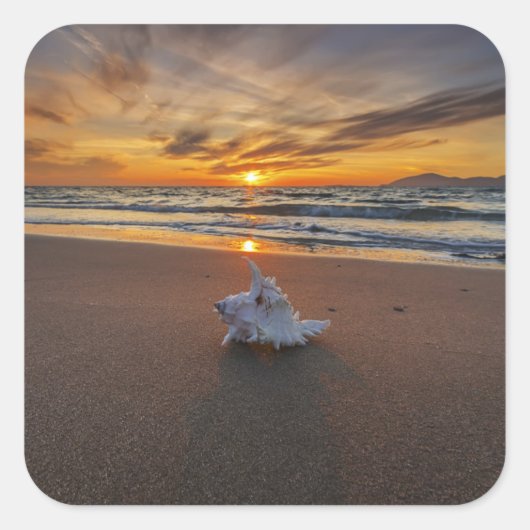 Shell bij het strand op zonsondergang | eiland Kos Vierkante Sticker (Voorkant)