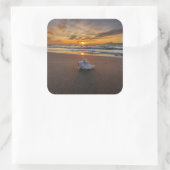 Shell bij het strand op zonsondergang | eiland Kos Vierkante Sticker (Tas)