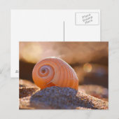 Shell Bokeh |Griekenland Briefkaart (Voorkant / Achterkant)