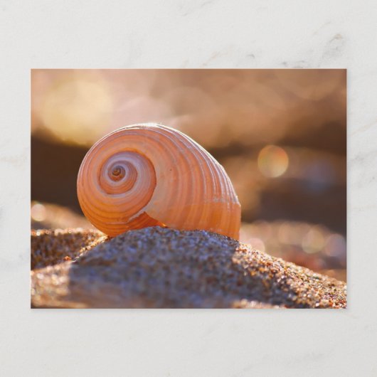 Shell Bokeh |Griekenland Briefkaart (Voorkant)