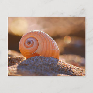 Shell Bokeh  Griekenland Briefkaart