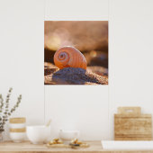 Shell Bokeh |Griekenland Poster (Keuken)