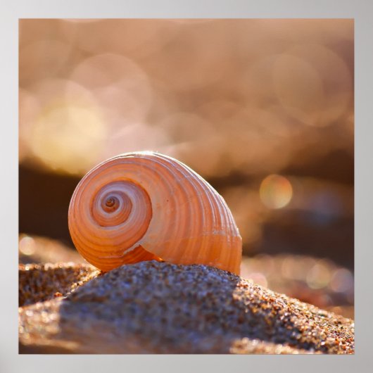 Shell Bokeh |Griekenland Poster (Voorkant)
