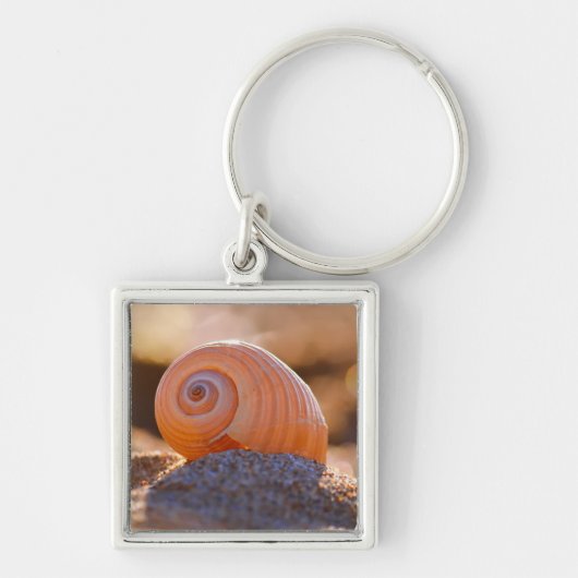 Shell Bokeh |Griekenland Sleutelhanger (Voorkant)
