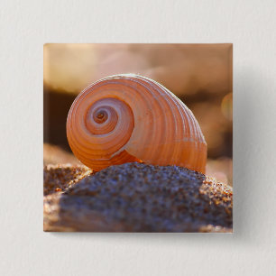 Shell Bokeh Griekenland Vierkante Button 5,1 Cm