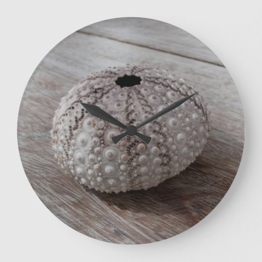 Shell bovenop een houten tafel grote klok (Voorkant)