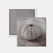 Shell bovenop een houten tafel magneet (Voorkant / Achterkant)