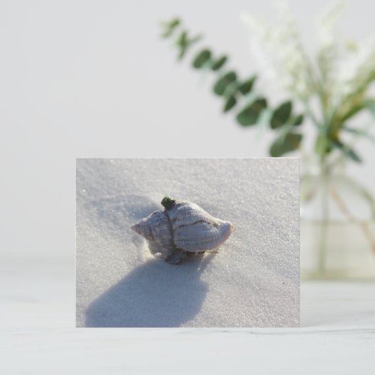 Shell Briefkaart (Staand voorkant)