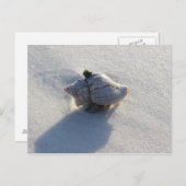 Shell Briefkaart (Voorkant / Achterkant)