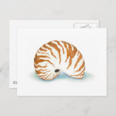 Shell-Briefkaart Briefkaart (Voorkant / Achterkant)