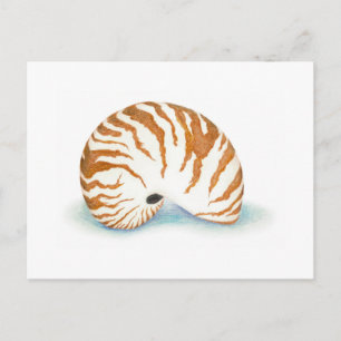 Shell-Briefkaart Briefkaart