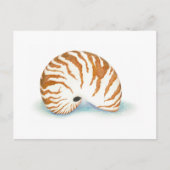 Shell-Briefkaart Briefkaart (Voorkant)