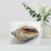 Shell-Briefkaart Briefkaart (Staand voorkant)