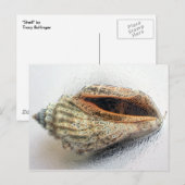 Shell-Briefkaart Briefkaart (Voorkant / Achterkant)