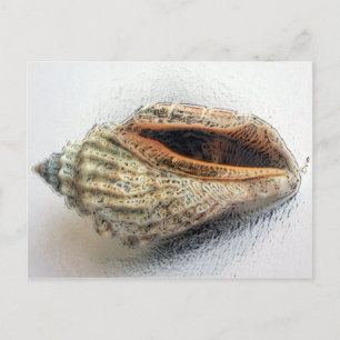 Shell-Briefkaart Briefkaart