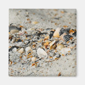 Shell-cache Magneet (Voorkant)