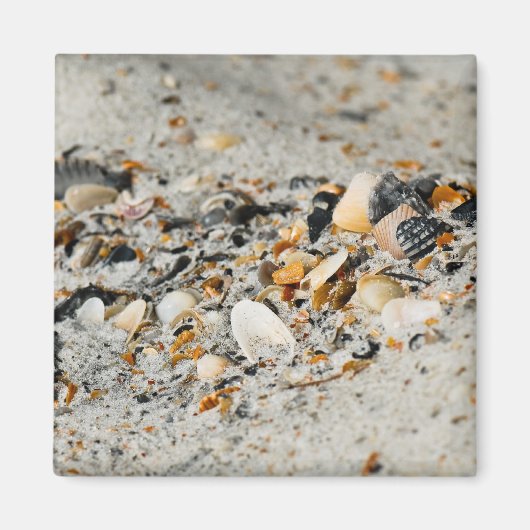 Shell-cache Magneet (Voorkant)