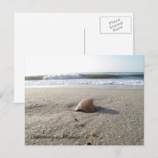 Shell Chincoteague, Virginia Briefkaart (Voorkant / Achterkant)