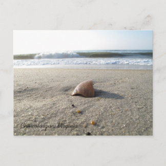 Shell Chincoteague, Virginia Briefkaart