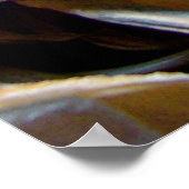 Shell Collected Print (Hoek)