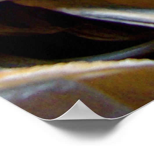 Shell Collected Print (Hoek)