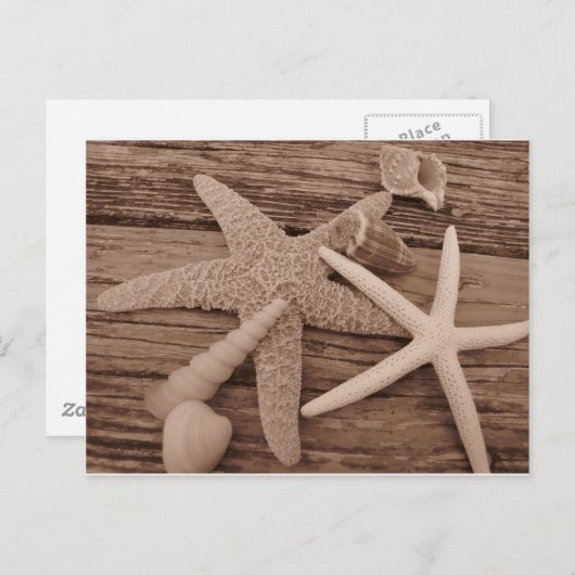 Shell-Collectie Briefkaart (Voorkant / Achterkant)