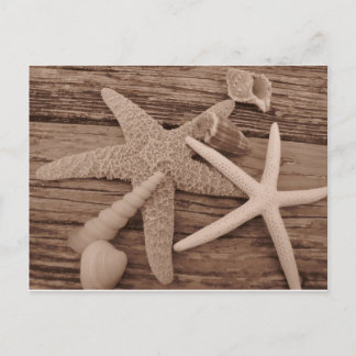 Shell-Collectie Briefkaart