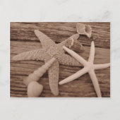 Shell-Collectie Briefkaart (Voorkant)