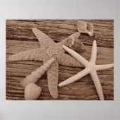 Shell-Collectie Poster (Voorkant)