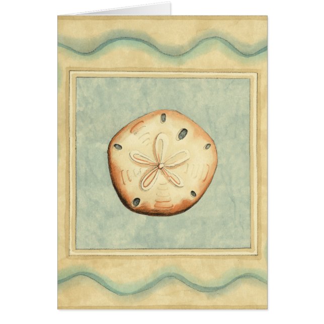 Shell Collector (Voorkant)